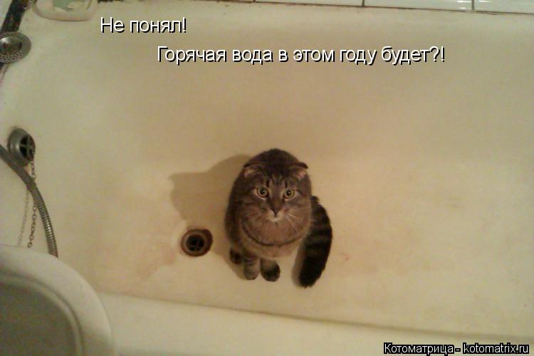 Не понял! Горячая вода в этом году будет?!... Котоматрица: Не понял! Горячая вода в этом году будет?!