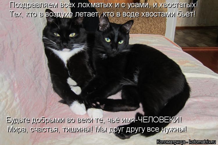 Поздравляем всех лохматых и с усами, и хвостатых! Тех, кто в воздухе летает; кто в воде хвостами бьёт... Котоматрица: Поздравляем всех лохматых и с усами, и хвостатых! Тех, кто в воздухе летает; кто в воде хвостами бьёт! Будьте добрыми во веки те, чьё имя-ЧЕЛОВ
