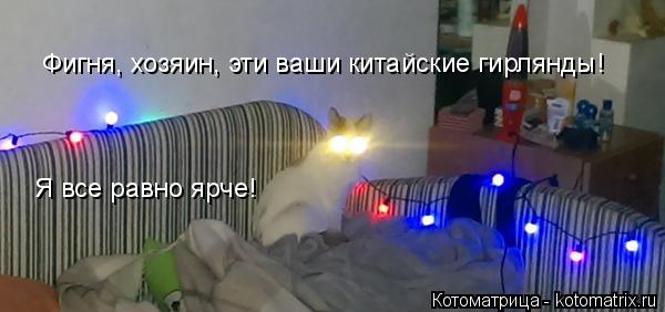 Котоматрица: Фигня, хозяин, эти ваши китайские гирлянды!  Я все равно ярче!
