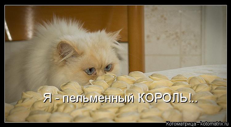 Котоматрица: Я - пельменный КОРОЛЬ!..