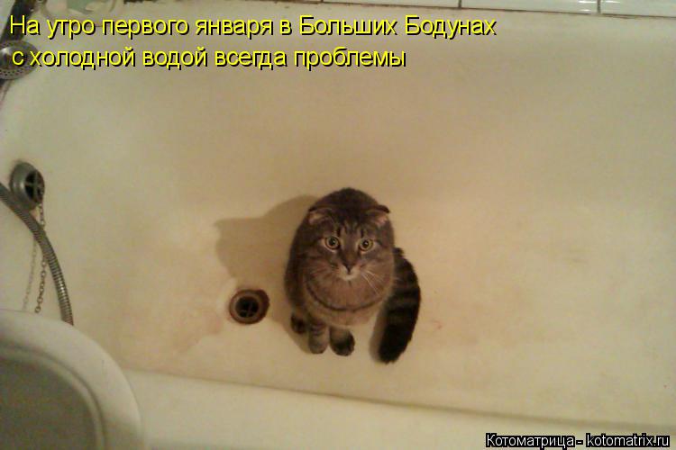 На утро первого января в Больших Бодунах с холодной водой всегда проблемы... Котоматрица: На утро первого января в Больших Бодунах с холодной водой всегда проблемы