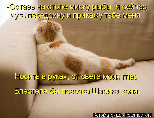 -Оставь на столе миску рыбы, я сейчас чуть передохну и прикажу тебе меня Носить в руках, от света мои... Котоматрица: -Оставь на столе миску рыбы, я сейчас чуть передохну и прикажу тебе меня Носить в руках, от света моих глаз Блестела бы повозка Шарика-коня.