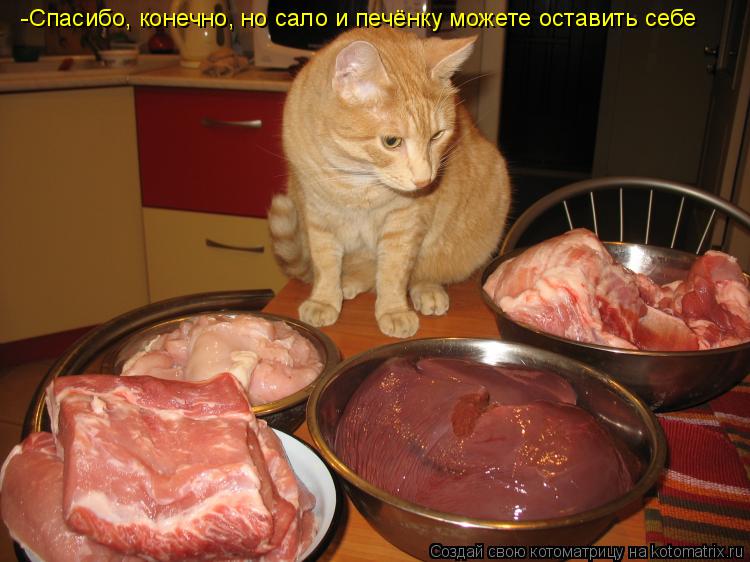 Котоматрица: -Спасибо, конечно, но сало и печёнку можете оставить себе