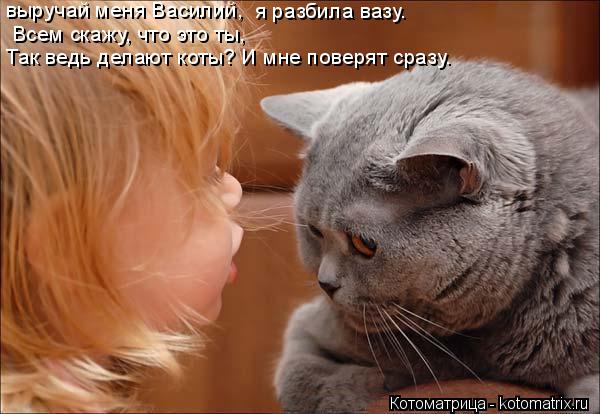 Котоматрица: выручай меня Василий,  я разбила вазу.   Всем скажу, что это ты,  Так ведь делают коты? И мне поверят сразу.