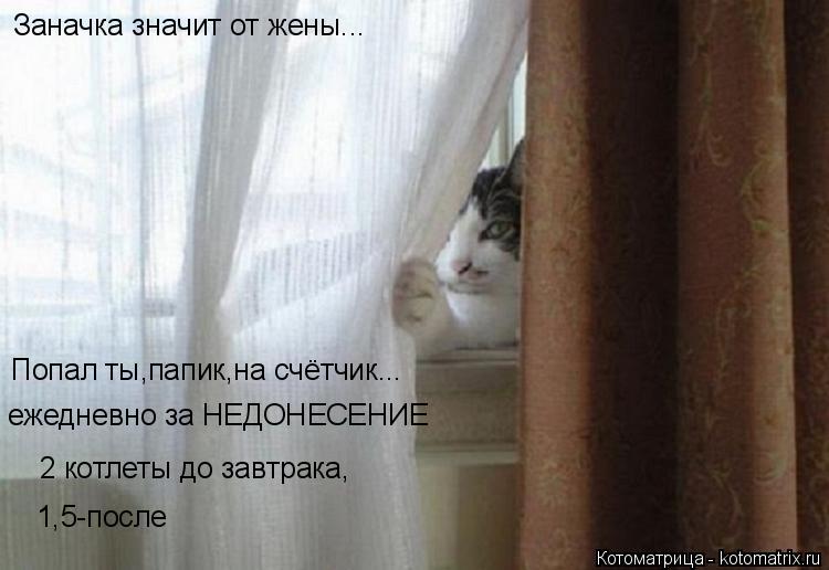 Котоматрица: Заначка значит от жены... Попал ты,папик,на счётчик... ежедневно за НЕДОНЕСЕНИЕ 2 котлеты до завтрака, 1,5-после
