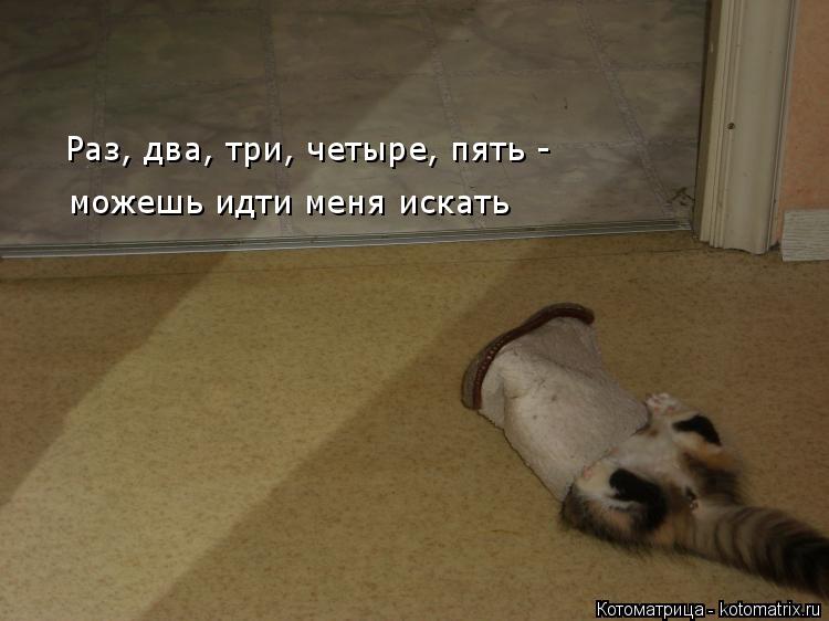Котоматрица: Раз, два, три, четыре, пять - можешь идти меня искать