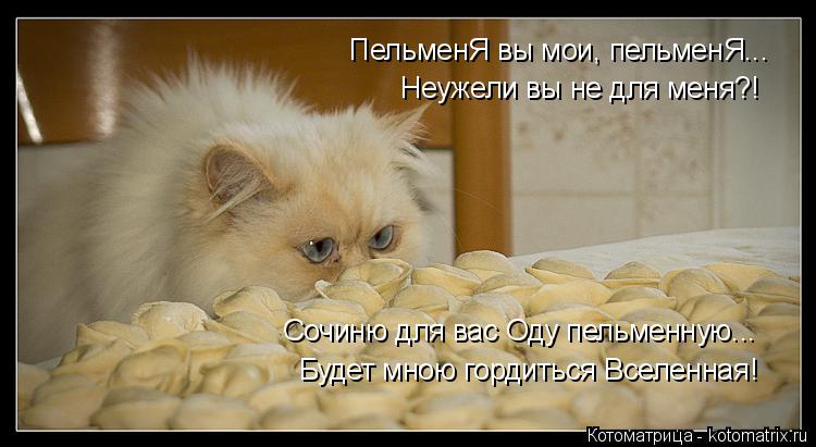 ПельменЯ вы мои, пельменЯ... Неужели вы не для меня?! Сочиню для вас Оду пельменную... Будет мною гор... Котоматрица: ПельменЯ вы мои, пельменЯ... Неужели вы не для меня?! Сочиню для вас Оду пельменную... Будет мною гордиться Вселенная!