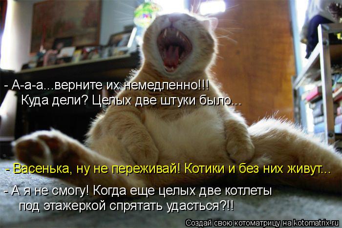 - А-а-а...верните их немедленно!!! Куда дели? Целых две штуки было... - Васенька, ну не переживай! Ко... Котоматрица: - А-а-а...верните их немедленно!!! Куда дели? Целых две штуки было... - Васенька, ну не переживай! Котики и без них живут... - А я не смогу! Когда еще