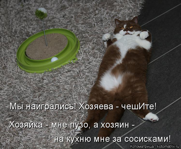 Котоматрица: Мы наигрались! Хозяева - чешИте! Хозяйка - мне пузо, а хозяин -  на кухню мне за сосисками!