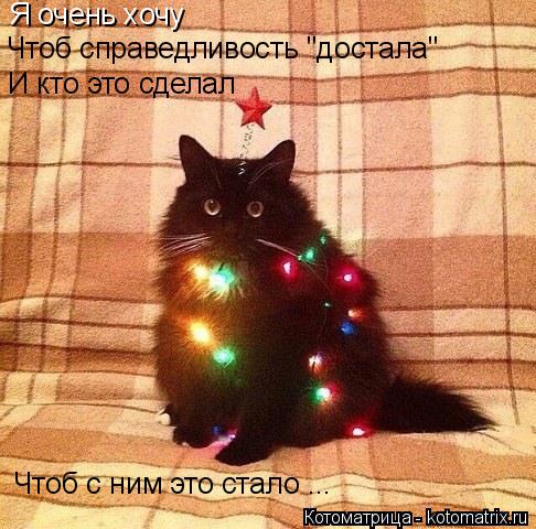Котоматрица: Я очень хочу Чтоб справедливость "достала" И кто это сделал Чтоб с ним это стало ...