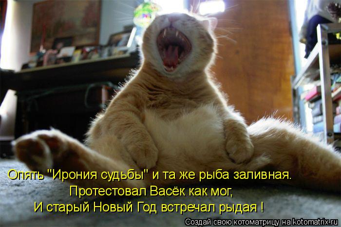 Котоматрица: Опять "Ирония судьбы" и та же рыба заливная. И старый Новый Год встречал рыдая ! Протестовал Васёк как мог,