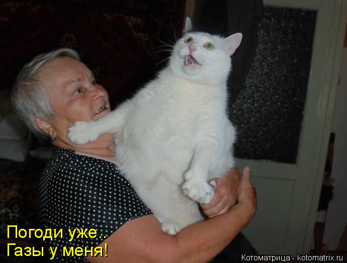 Котоматрица: Погоди уже.. Газы у меня!