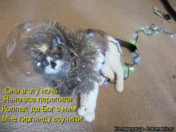 Котоматрица: Они в эту ночь  Явно все перепили Колпак, да Бог с ним Мне гирлянду всучили...