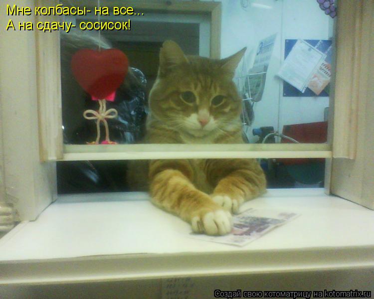 Котоматрица: Мне колбасы- на все... А на сдачу- сосисок!
