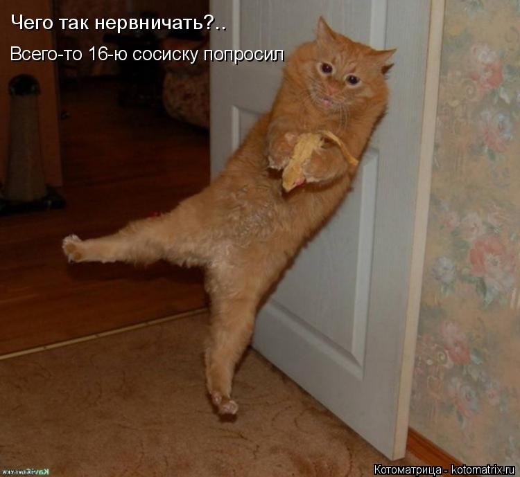 Котоматрица: Чего так нервничать?.. Всего-то 16-ю сосиску попросил
