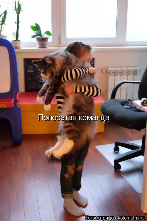 Котоматрица: Полосатая команда