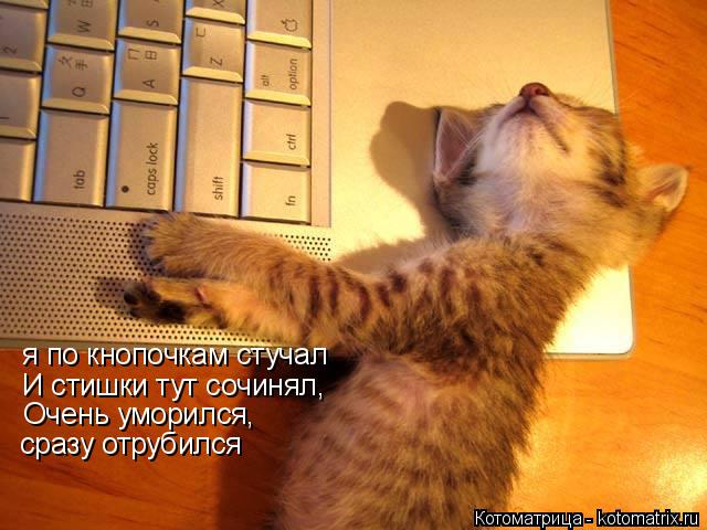 Котоматрица: я по кнопочкам стучал И стишки тут сочинял,  Очень уморился,  сразу отрубился