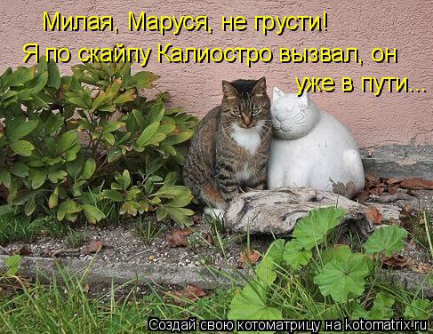 Милая, Маруся, не грусти! Я по скайпу Калиостро вызвал, он уже в пути...... Котоматрица: Милая, Маруся, не грусти! Я по скайпу Калиостро вызвал, он уже в пути...