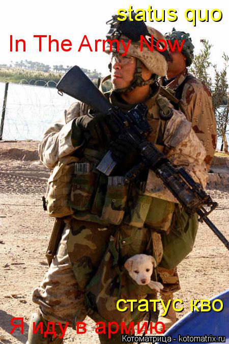 In The Army Now status quo статус кво Я иду в армию... Котоматрица: In The Army Now status quo статус кво Я иду в армию