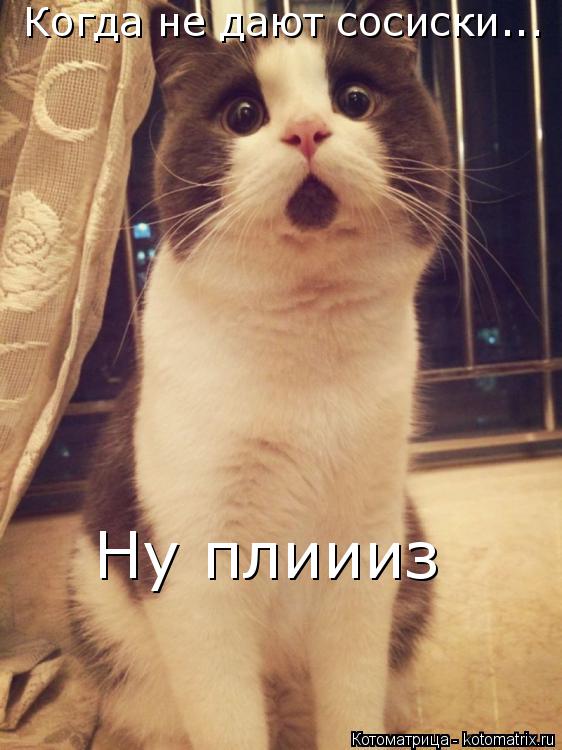 Котоматрица: Ну плиииз Когда не дают сосиски...