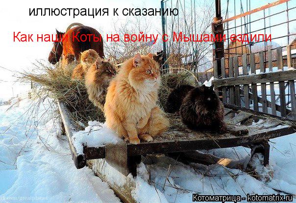Котоматрица: иллюстрация к сказанию Как наши Коты на войну с Мышами ездили