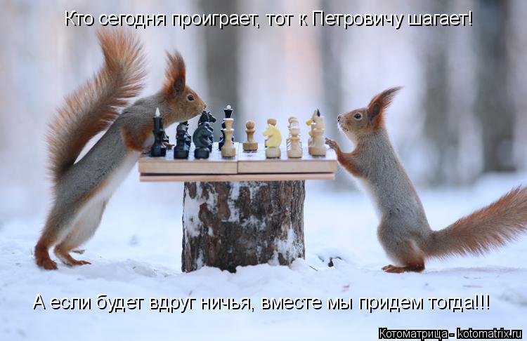 Котоматрица: Кто сегодня проиграет, тот к Петровичу шагает! А если будет вдруг ничья, вместе мы придем тогда!!!