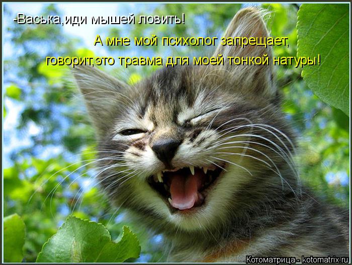 -Васька,иди мышей ловить! А мне мой психолог запрещает, говорит,это травма для моей тонкой натуры!... Котоматрица: -Васька,иди мышей ловить! А мне мой психолог запрещает, говорит,это травма для моей тонкой натуры!
