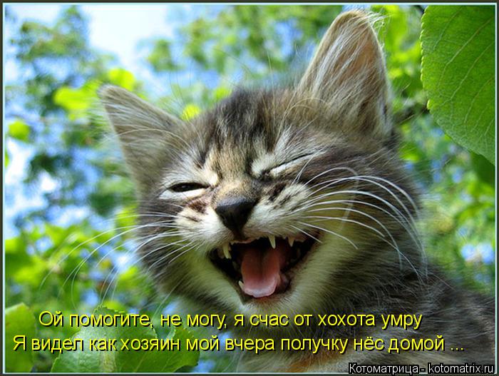 Ой помогите, не могу, я счас от хохота умру Я видел как хозяин мой вчера получку нёс домой ...... Котоматрица: Ой помогите, не могу, я счас от хохота умру Я видел как хозяин мой вчера получку нёс домой ...