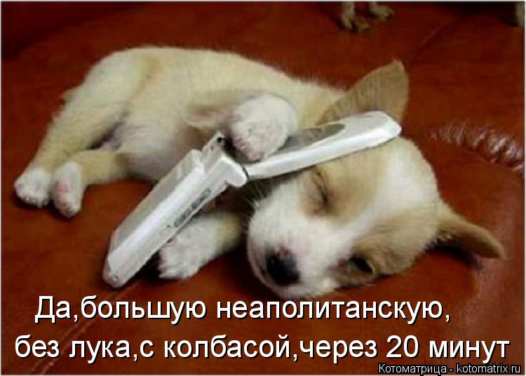 Котоматрица: Да,большую неаполитанскую, без лука,с колбасой,через 20 минут