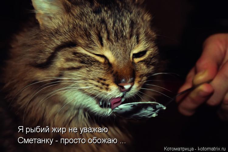 Котоматрица: Я рыбий жир не уважаю Сметанку - просто обожаю ...