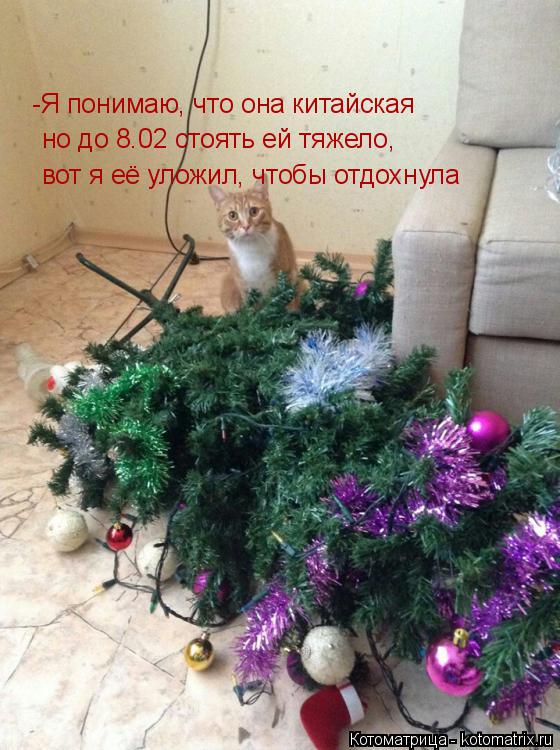 Котоматрица: -Я понимаю, что она китайская но до 8.02 стоять ей тяжело, вот я её уложил, чтобы отдохнула