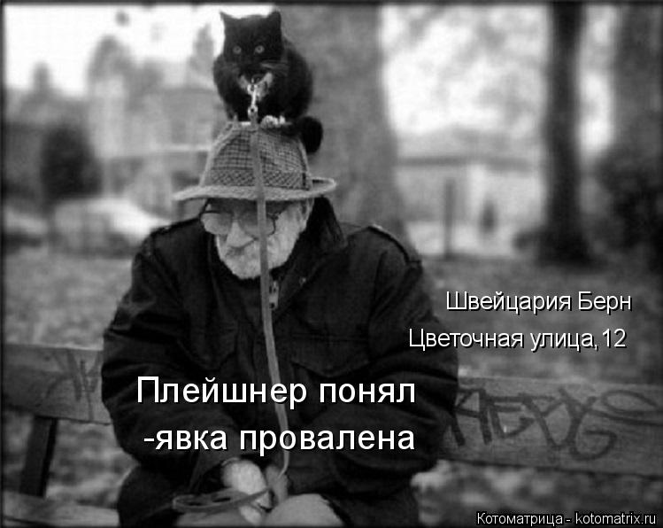 Котоматрица: Швейцария Берн Цветочная улица,12 Плейшнер понял -явка провалена