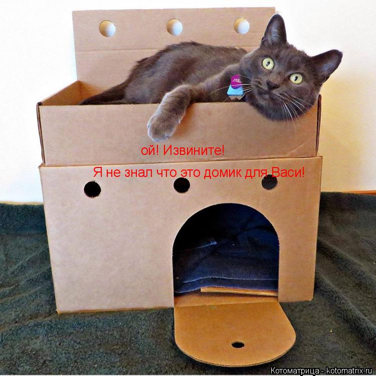 Котоматрица: ой! Извините! Я не знал что это домик для Васи!