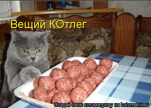 Котоматрица: Вещий КОтлег