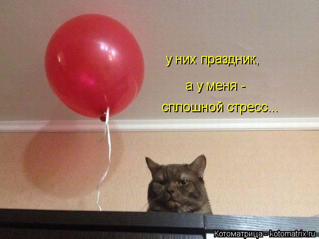 у них праздник, а у меня - сплошной стресс...... Котоматрица: у них праздник, а у меня - сплошной стресс...