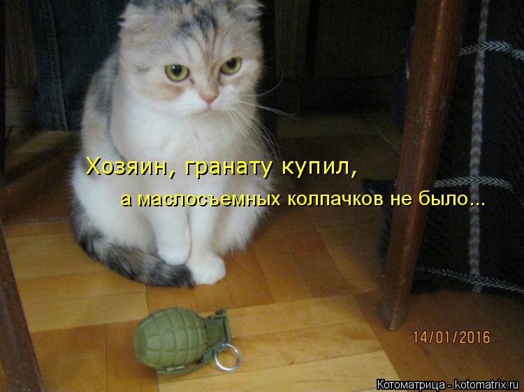 Хозяин, гранату купил, а маслосъемных колпачков не было...... Котоматрица: Хозяин, гранату купил, а маслосъемных колпачков не было...