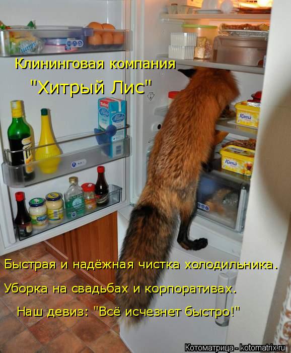 "Хитрый Лис" Клининговая компания Быстрая и надёжная чистка холодильника. Уборка на свадьбах и корпор... Котоматрица: "Хитрый Лис" Клининговая компания Быстрая и надёжная чистка холодильника. Уборка на свадьбах и корпоративах. Наш девиз: "Всё исчезнет быстр