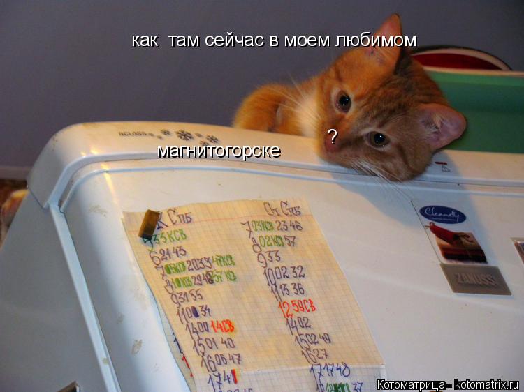 магнитогорске как там сейчас в моем любимом ?... Котоматрица: магнитогорске как там сейчас в моем любимом ?