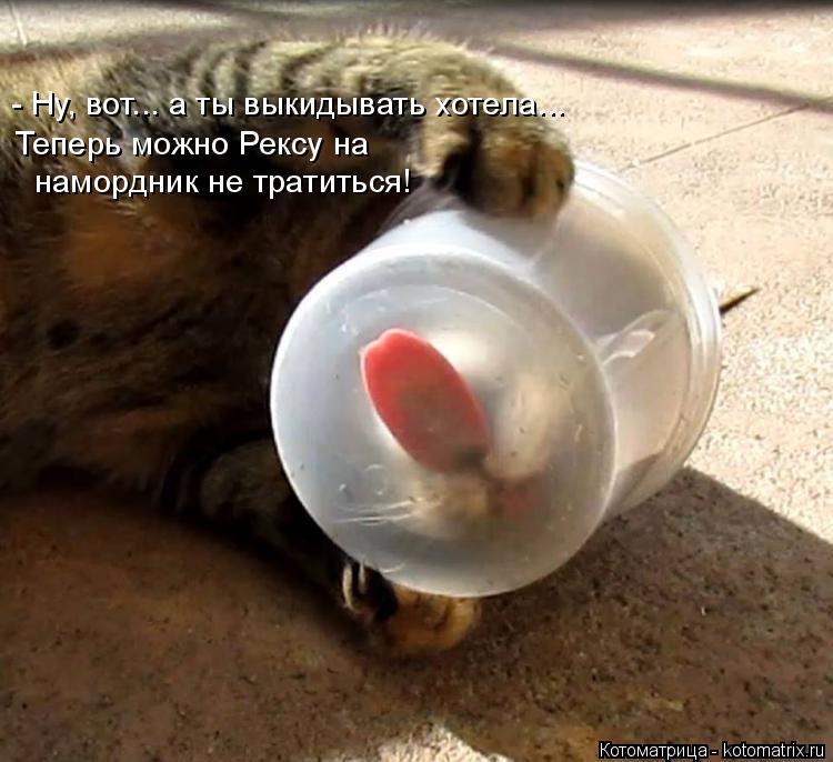 - Ну, вот... а ты выкидывать хотела... Теперь можно Рексу на намордник не тратиться!... Котоматрица: - Ну, вот... а ты выкидывать хотела... Теперь можно Рексу на намордник не тратиться!