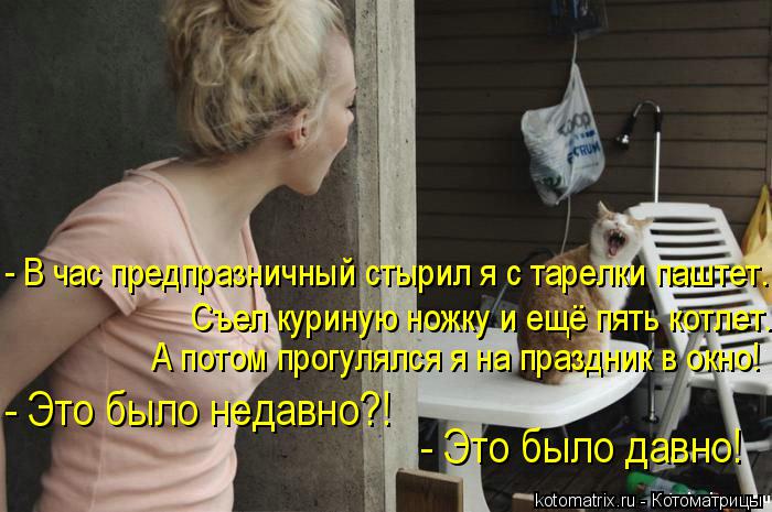 Котоматрица: - В час предпразничный стырил я с тарелки паштет. Съел куриную ножку и ещё пять котлет. А потом прогулялся я на праздник в окно! - Это было нед