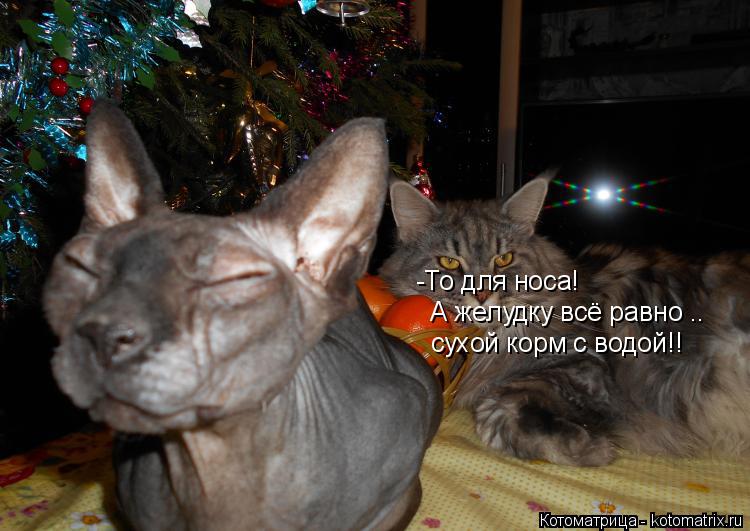-То для носа! А желудку всё равно .. сухой корм с водой!!... Котоматрица: -То для носа! А желудку всё равно .. сухой корм с водой!!