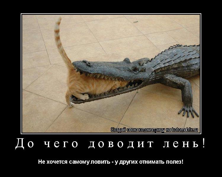 Котоматрица: До чего доводит лень! Не хочется самому ловить - у других отнимать полез!