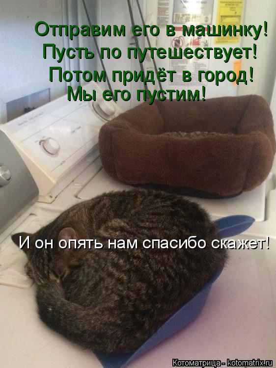 Котоматрица: Отправим его в машинку! Пусть по путешествует! Потом придёт в город! Мы его пустим! И он опять нам спасибо скажет!