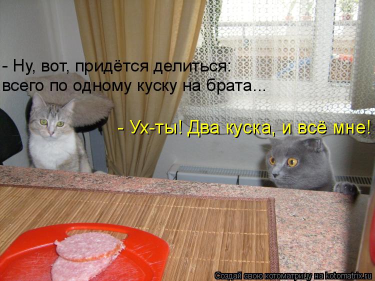 Котоматрица: - Ух-ты! Два куска, и всё мне! - Ну, вот, придётся делиться: всего по одному куску на брата...