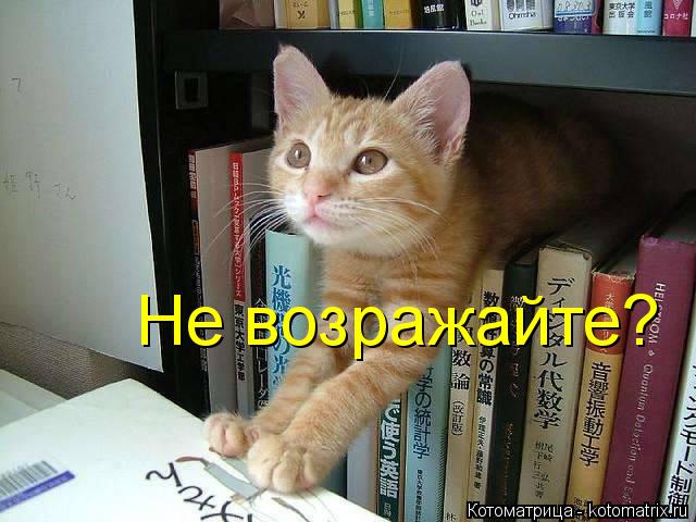 Котоматрица: Не возражайте?