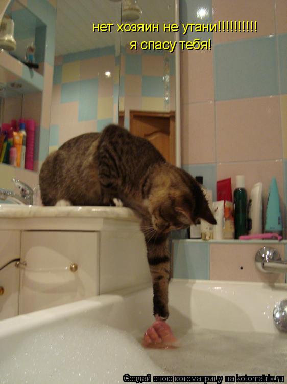 Котоматрица: нет хозяин не утани!!!!!!!!!! я спасу тебя!