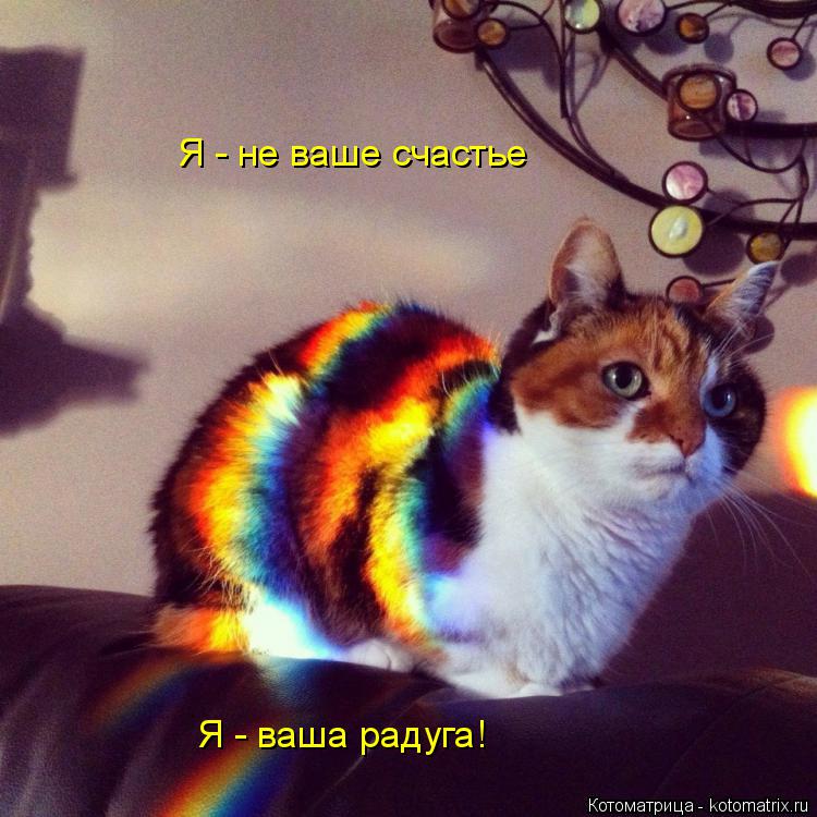 Я - не ваше счастье Я - ваша радуга!... Котоматрица: Я - не ваше счастье Я - ваша радуга!