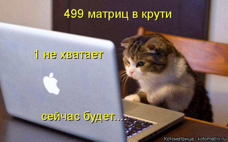 Котоматрица: 499 матриц в крути 1 не хватает сейчас будет....