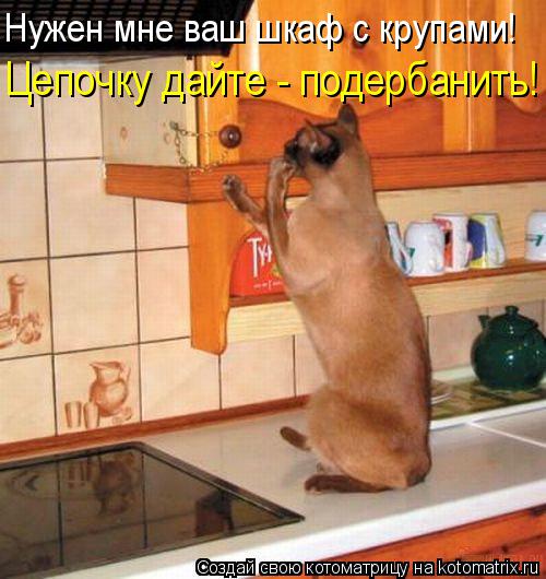 Котоматрица: Нужен мне ваш шкаф с крупами! Цепочку дайте - подербанить!