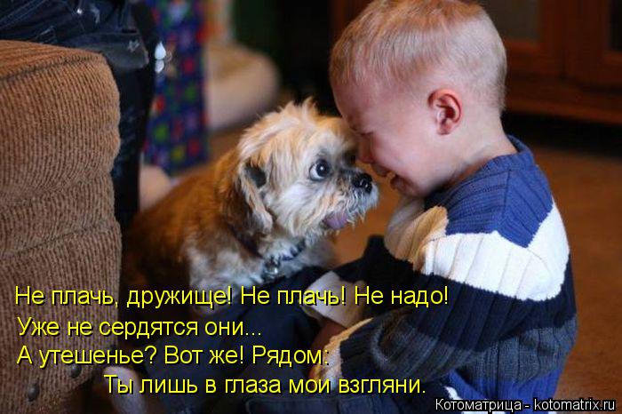 Котоматрица: Не плачь, дружище! Не плачь! Не надо! Уже не сердятся они... А утешенье? Вот же! Рядом: Ты лишь в глаза мои взгляни.